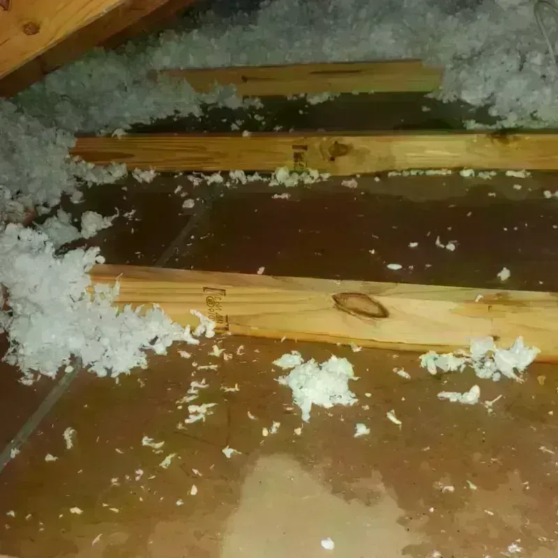 Attic Water Damage in Hillsborough, NH