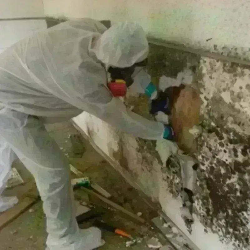 Mold Remediation and Removal in Hillsborough, NH